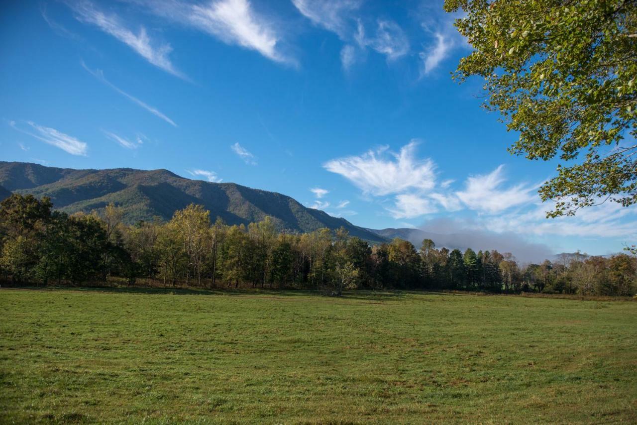 Bearfoot Retreat Villa Waldens Creek Bagian luar foto